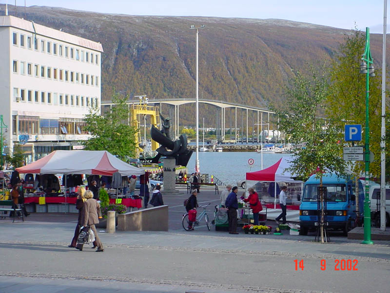 DSC00708