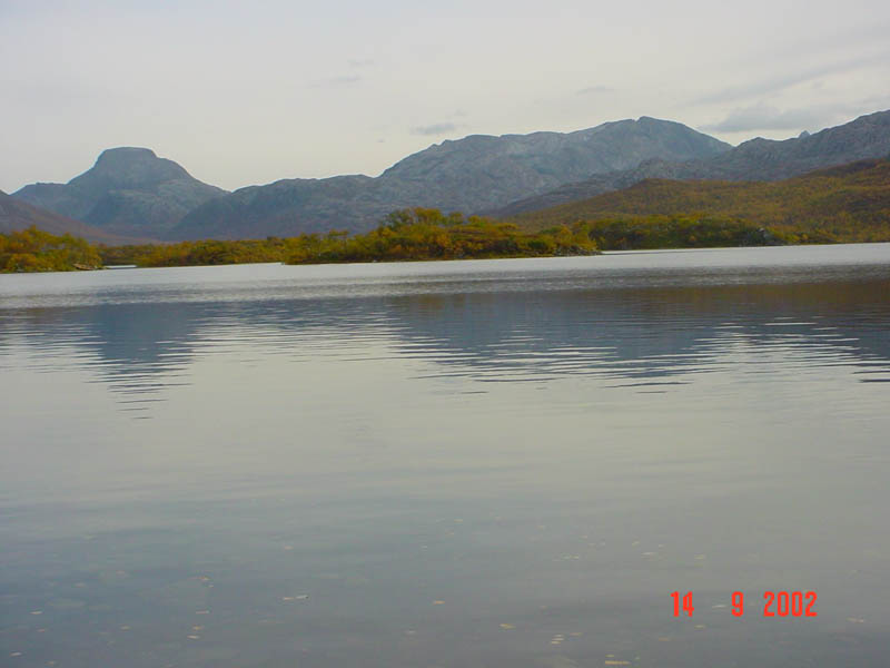 DSC00717