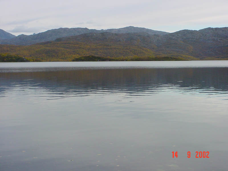 DSC00718