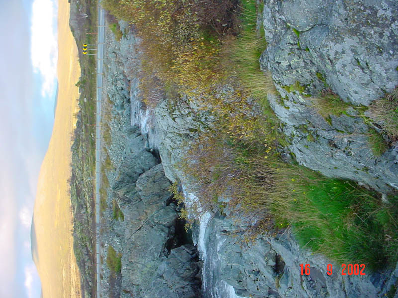DSC00770