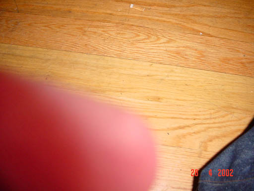 DSC00113