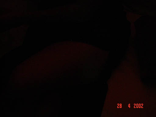 DSC00127
