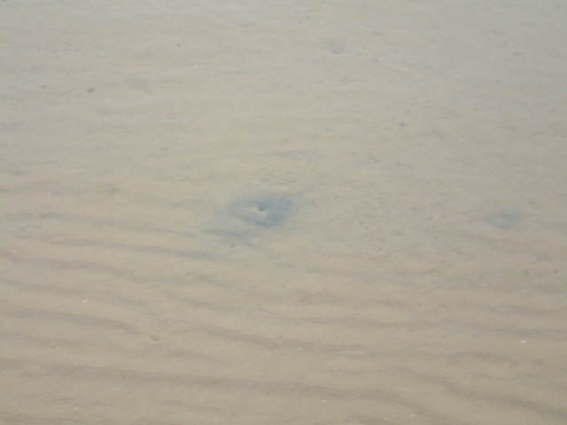 DSCF0024